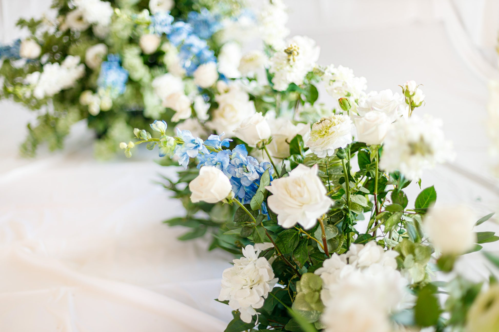 White and blue flowers on a table