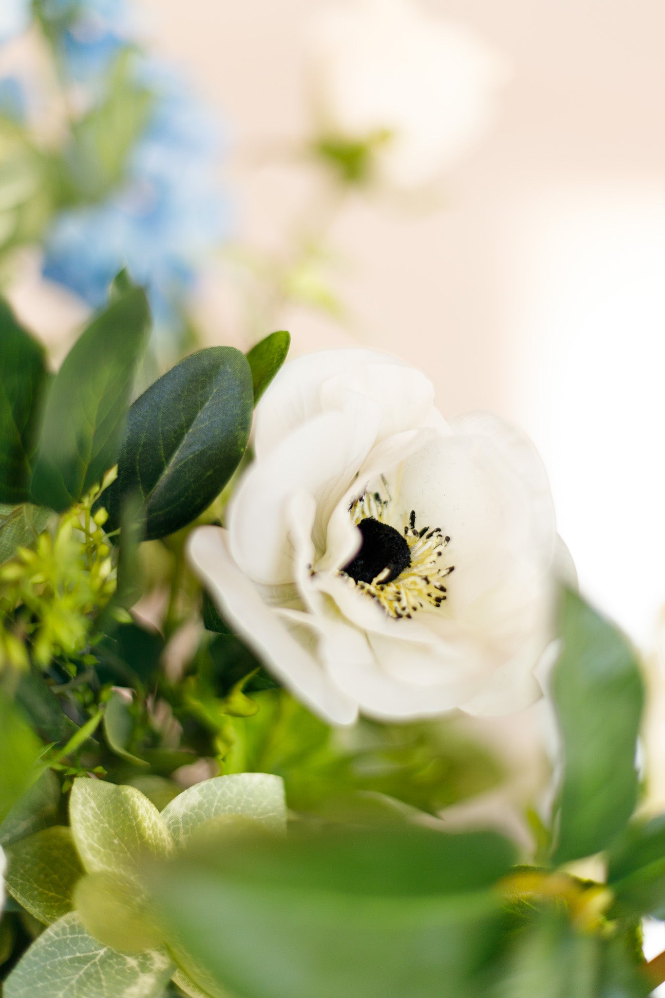 backdrop wedding rental